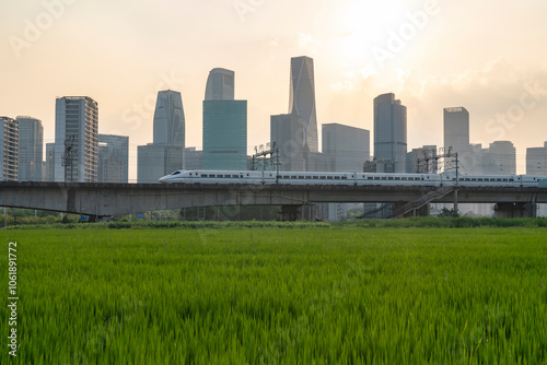 The sunset high-speed train travels on a bridge over a wheat field, with the city skyline in the background
