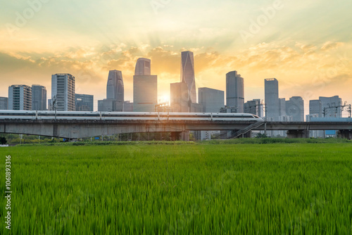 The sunset high-speed train travels on a bridge over a wheat field, with the city skyline in the background #1061893316