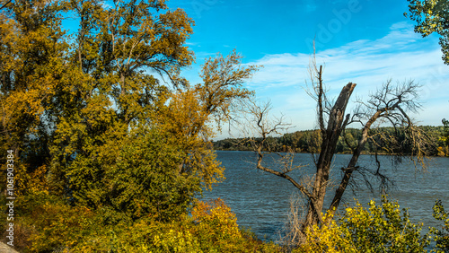 Agricultural fields with young green shoots of grain crops and plowed field without sowing. With trees in the background on the hills. Fallow concept. Alternation.