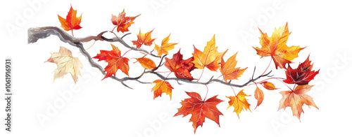 watercolor illustration Colorful autumn maple leaves on a tree branch isolated cut our transparent background stem