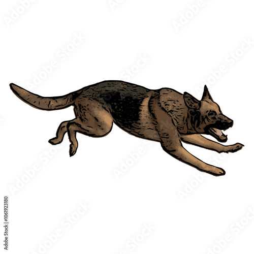 German Shepard dog vector animal ilustration isolated template 