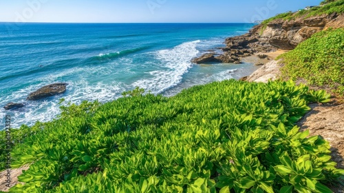 Lush Coastal Landscape with Turquoise Ocean View