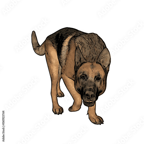German Shepard dog vector animal ilustration isolated template 