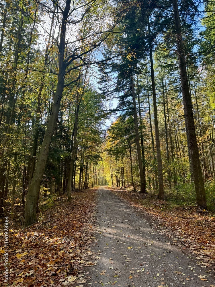 Obraz premium Nature