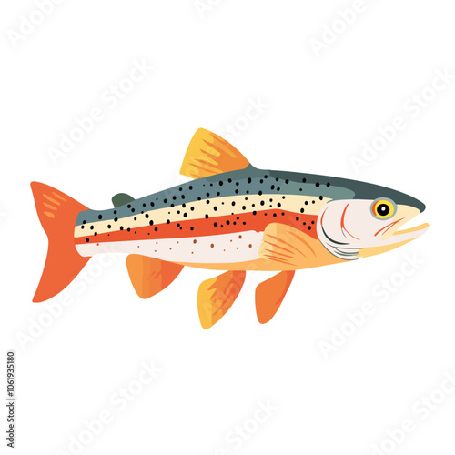 brown trout fish vector illustration