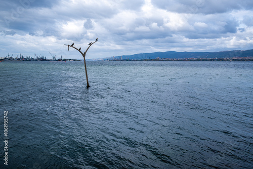 Memory in metal, earthquake sunken power pole with birds overlooking industrial shoreline, aftermath of disaster, submerged power pole and cormorants symbolize quiet resilience photo