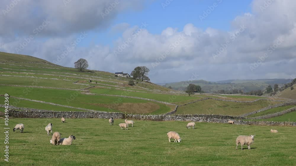 Alstonefield farmland, Derbyshire. Alstonefield farmland, Derbyshire.