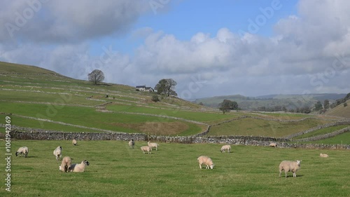 Alstonefield farmland, Derbyshire. photo