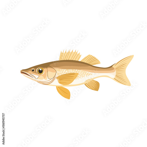 Walleye fish vector