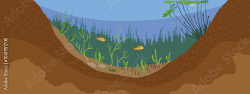 Pond ecosystem. Ecosystem of with different animals in their natural habitat. Pond ecosystem structure for biology lessons. Vector cartoon illustration