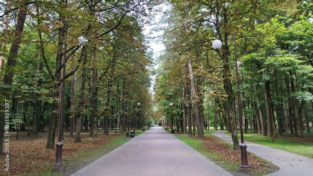 Obraz premium In the city park, a concrete tiled walkway winds past maple, lime and chestnut trees. Next to the path are lampposts, wooden benches and grassy lawns. Cloudy summer weather and gray sky