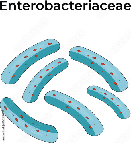Enterobacteriaceae Design Science Vector Illustration