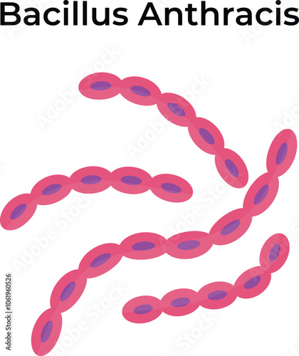 Bacillus Anthracis Science Vector Illustration