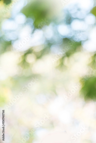 Fototapeta Naklejka Na Ścianę i Meble -  Vertical Horizon Blur background green park garden nature bright sunny forest. Blurry outdoor park spring time glow shinny day template sunlight bokeh. Vertical blurred background banner copy space