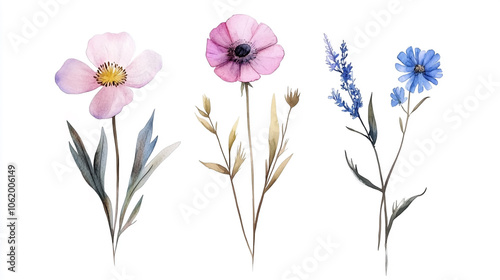 Delicate watercolor lythyrus and asparagus flowers, elegantly on frame, Beautiful watercolor peonies in various shades of pink and purple, showcasing delicate petals.