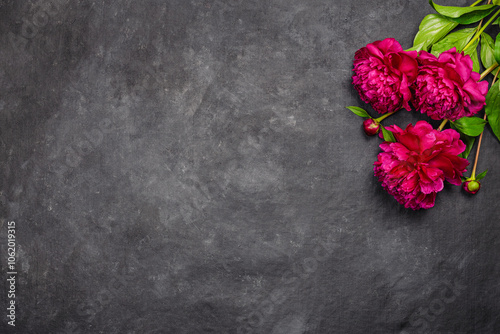 Greeting card with red peonies flowers on dark background, flat lay, top view. Holiday concept with copy space for text for your greetings