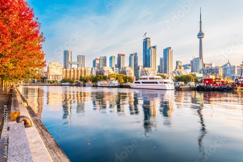 Obraz na plátně Toronto, Ontario, Canada cityscape in autumn at dawn.