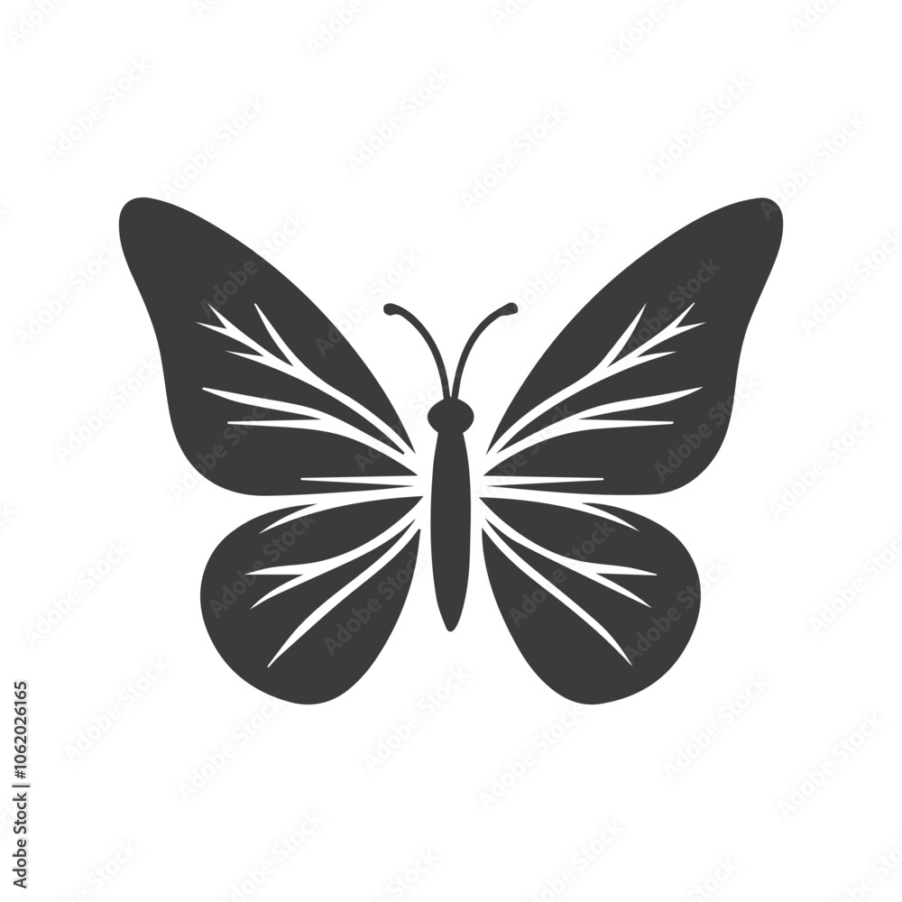 Set of butterflies, silhouettes and butterflies icons isolated on white background. Set of butterflies, silhouettes and butterflies icons isolated on white background.