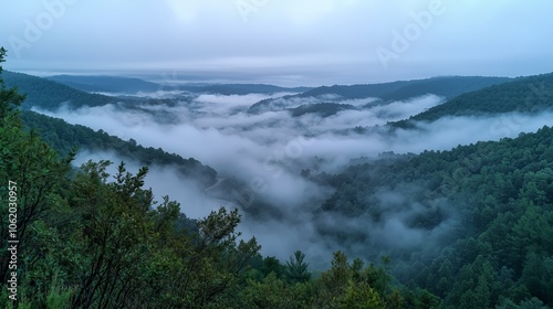 Misty Fog Over Mountainous Landscape