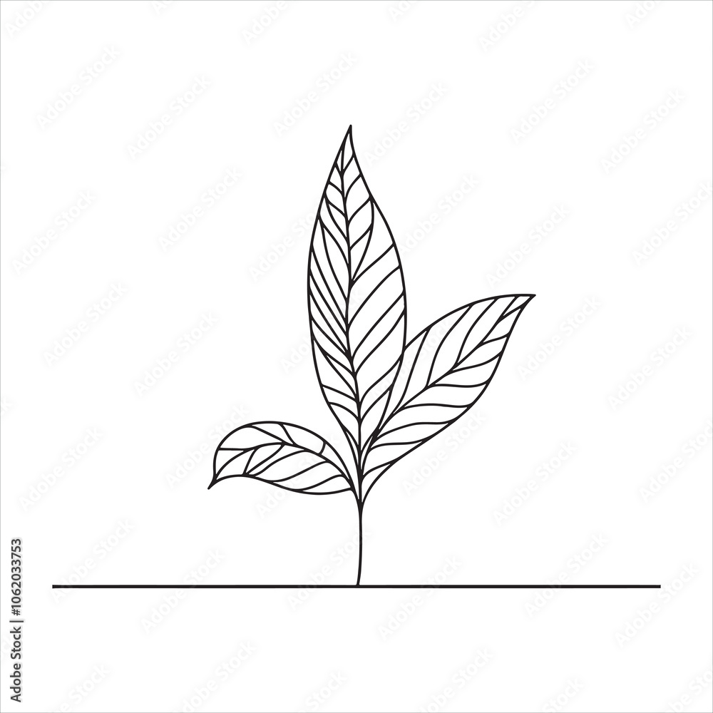 mango leaves line art silhouette on white background mango leaves line art silhouette on white background