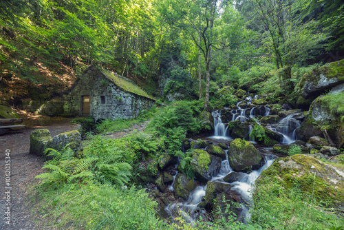 Water wheel mill (Moulin de Chambeuil) with waterfalls, Laveissiere, Cantal, Auvergne-Rhone-Alpes, France photo