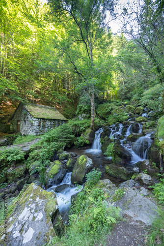 Water wheel mill (Moulin de Chambeuil) with waterfalls, Laveissiere, Cantal, Auvergne-Rhone-Alpes, France photo