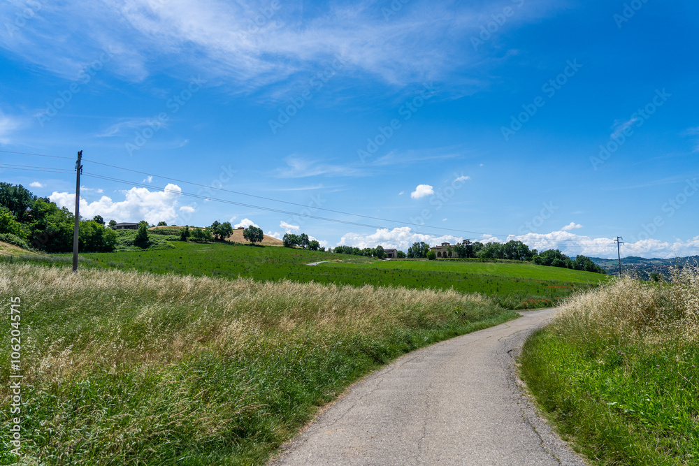Scenic view of a trail between green fields in Emilia Romagna with rolling hills and lush greenery Scenic view of a trail between green fields in Emilia Romagna with rolling hills and lush greenery