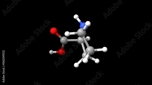 Structure of the amino acid DL-proline. Animated 3D ball-and-stick and space-filled models, black background.