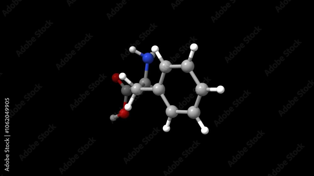 Structure of the amino acid DL-phenylalanine. Animated 3D ball-and-stick and space-filled models, black background. Structure of the amino acid DL-phenylalanine. Animated 3D ball-and-stick and space-filled models, black background.