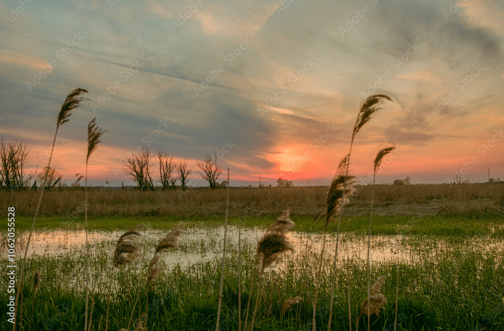 Fototapeta premium Zachód słońca nad rzeką Nidą