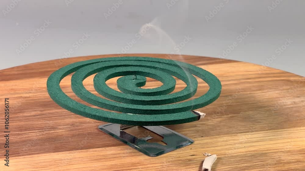 Smoldering of fumigating mosquito coil installed on wooden surface Smoldering of fumigating mosquito coil installed on wooden surface