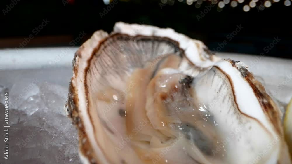 This oyster, carefully opened, reveals its soft, velvety texture and delicate taste, which perfectly harmonizes with a drop of vinaigrette sauce. This oyster, carefully opened, reveals its soft, velvety texture and delicate taste, which perfectly harmonizes with a drop of vinaigrette sauce.