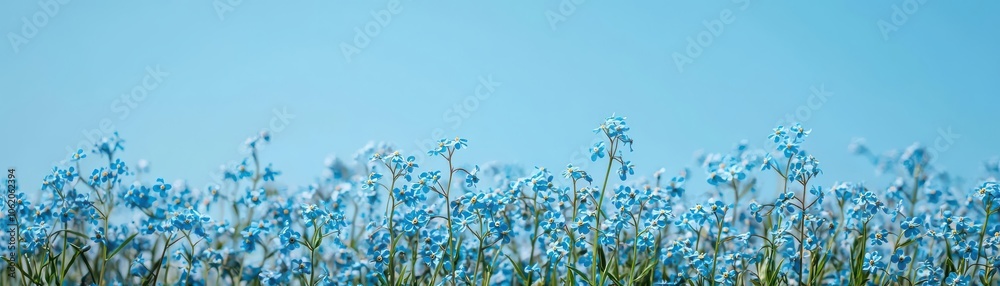 Artistic view of a forgetmenot flower field swaying gently in the breeze under a clear blue sky, Forgetmenot flower field, Serene and natural Artistic view of a forgetmenot flower field swaying gently in the breeze under a clear blue sky, Forgetmenot flower field, Serene and natural