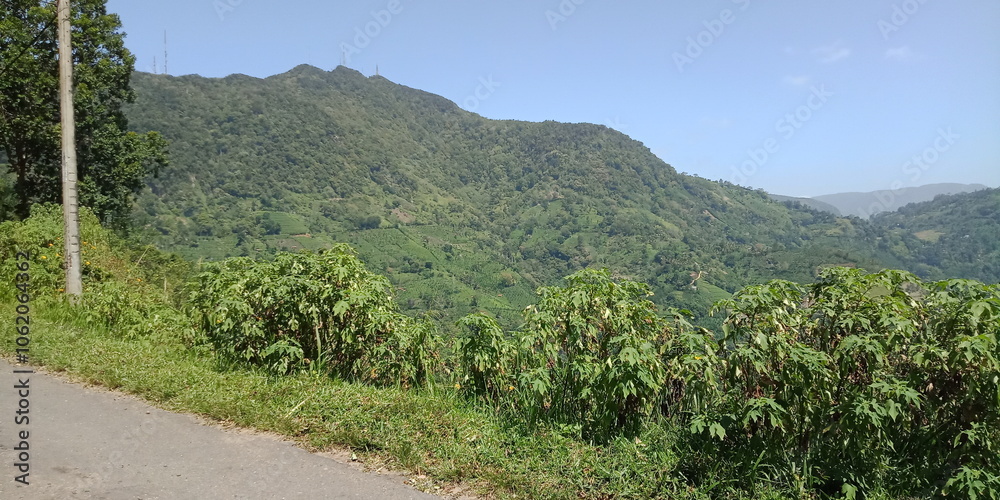 Majestic Landscapes of Sri Lanka. Breathtaking Beauty Capturing the Serene Essence of Nature in Stunning Landscapes. A Journey Through Picturesque Nature Landscapes. The beauty of Nature’s Landscape