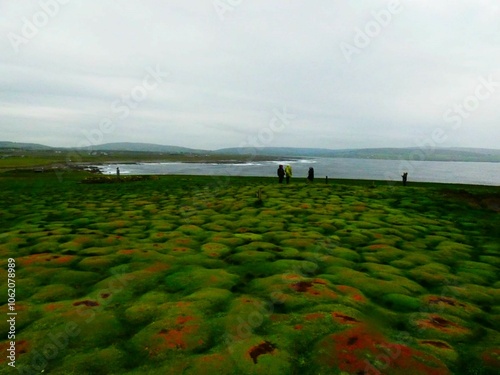 scogliera in irlanda con prato a cerchi photo