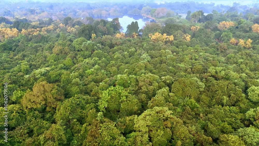 Flying over a thick lush green wood. Approaching a little lake located in the forests. Tropical landscape aerial. Flying over a thick lush green wood. Approaching a little lake located in the forests. Tropical landscape aerial.