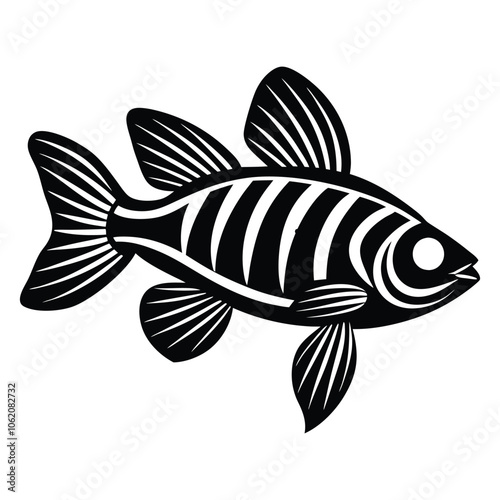 A Zebra Danio Silhouette Vector with white And Black
