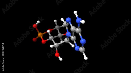 Structure of cyclic adenosine monophosphate (cAMP). Animated 3D ball-and-stick and surface models, black background photo