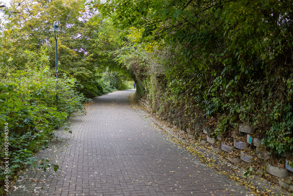 Dirt road through the autumn forest, view on an October day Dirt road through the autumn forest, view on an October day