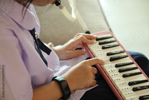 Girl with Melodeon photo