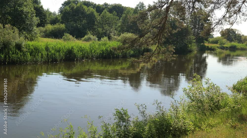 View on a summer landscape Lake and river, park and forest. View on a summer landscape Lake and river, park and forest.