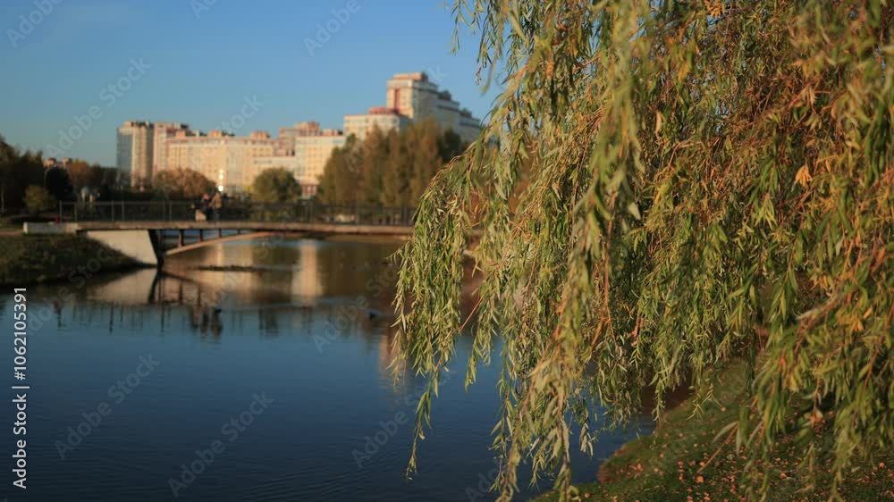 View on a summer and autumn landscape with Lake and river. Water, park and forest. View on a summer and autumn landscape with Lake and river. Water, park and forest.