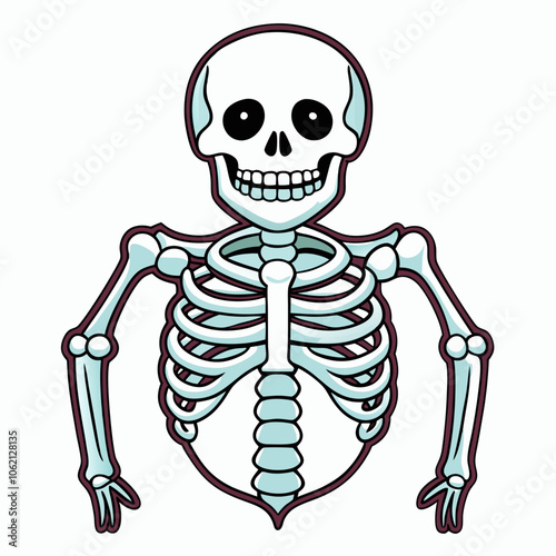 Skeleton Bones on White Background