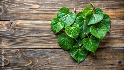 Asymmetrical Tinospora cordifolia herb Heart leaved moonseed guduchi giloy crispa on wooden background photo