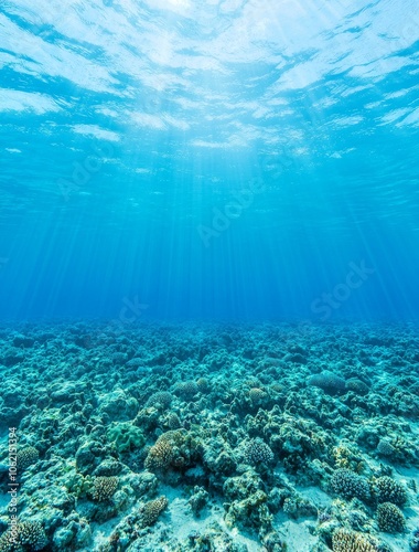 Abstract underwater backgrounds in a sunbeam.