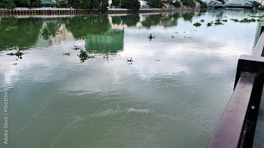 Strong river current reflecting the clouds and sky, moving water lilies, polluted river in the city Strong river current reflecting the clouds and sky, moving water lilies, polluted river in the city