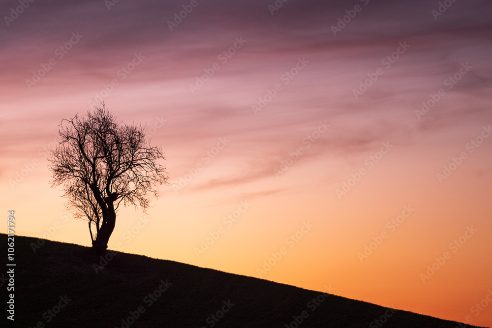 solo nel tramonto della collina emiliana solo nel tramonto della collina emiliana