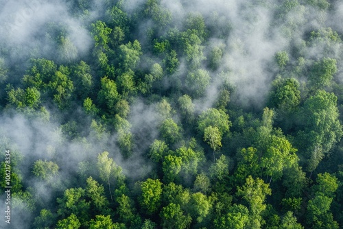 Aerial view of lush green forest covered in mist, showcasing the beauty of nature and tranquility in a scenic landscape.