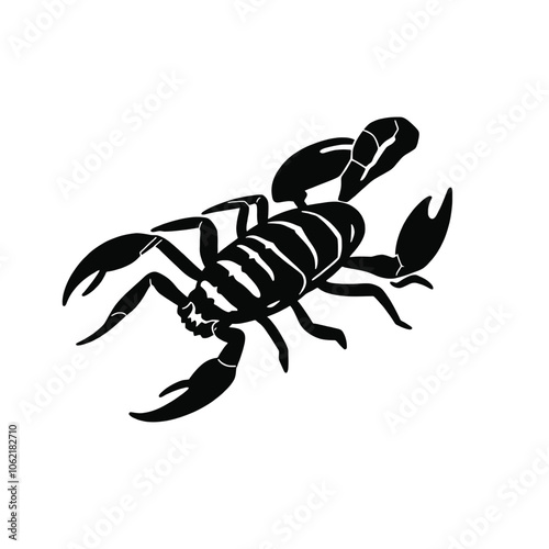 a black and white illustration of a scorpion