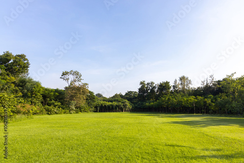 Fototapeta Naklejka Na Ścianę i Meble -  Scenic view of the park with green grass field and a blue sky in the evening. Beautiful green park